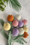 Tulip Meadow